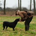 2023-Hunde-Training-Meerbusch-web-2303