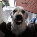 Kathy