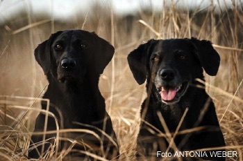 Anila und Citali-2.jpg