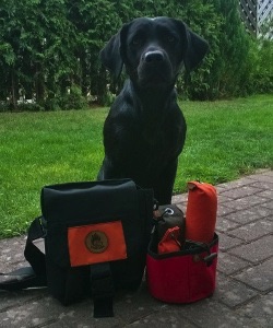 Ebony Vulkan 2014.jpg