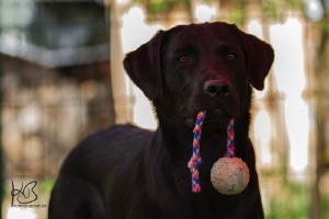 FT zur Zeit des G Wurfs