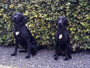 Haldor und Holly JPR-1