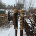 Walking Sticks