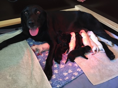 Viva nach der Geburt